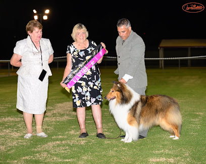Orivet Genetic Pet Care