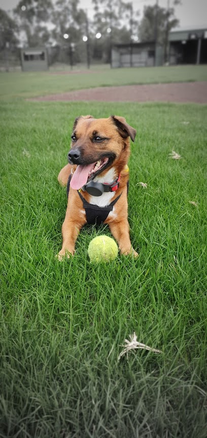 Wild Things Veterinary Behaviour Services