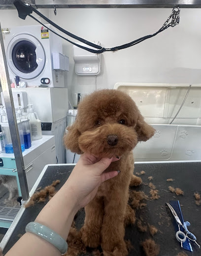 Petitude Pet Grooming
