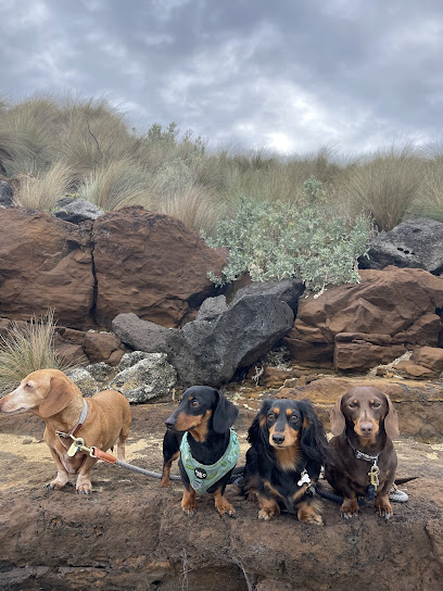 Hound Hike Co