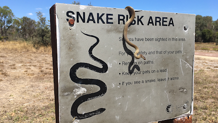 Snake Catcher Perth