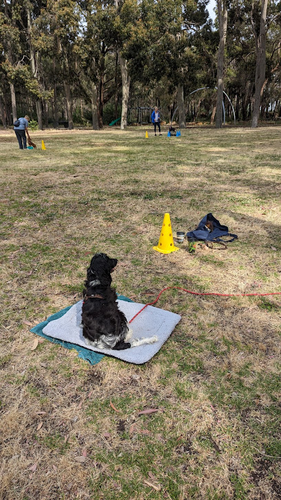 KALAPUPS Dog Training