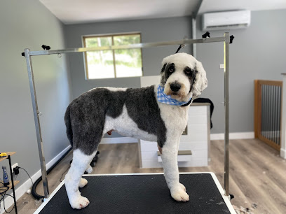 High Tail It Dog Grooming
