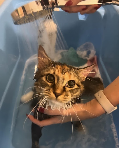Smooth Kitty Spa Cat Grooming