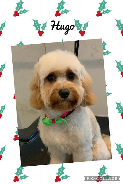 For the Love of Paws Dog Groomer