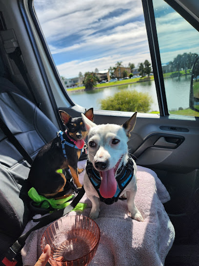 Glenelg Pet Sitting