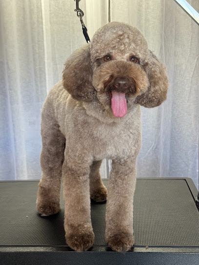 Clean Beans Dog Grooming