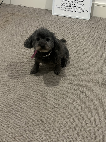 Hundgie Pet Spa