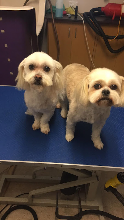 Allies Dog Grooming