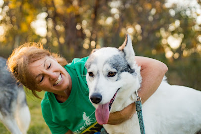 Kathys Dog Training and Behaviour Consulting