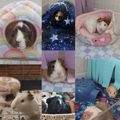 Cavy Cottage Guinea Pig Boarding