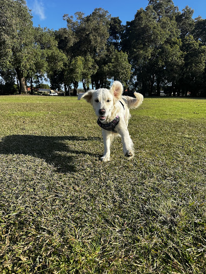 Jolly Good Paws