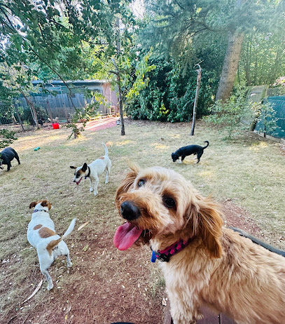 Pipsqueaks Boarding Kennels