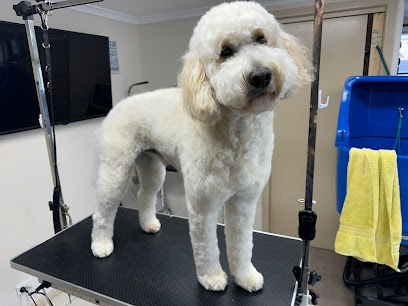 Paws on the Dash – Pet Grooming
