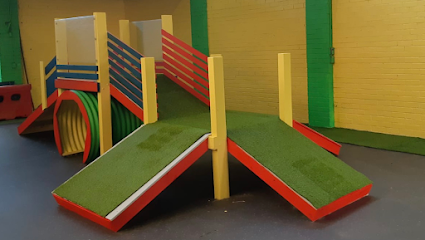 Dog Play Centre