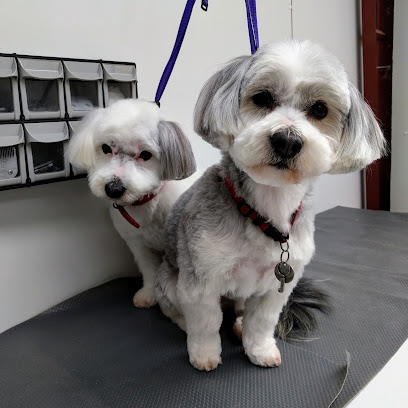 Woody And Friends Dog Grooming