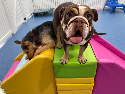 Barks and Recreation Dog Daycare