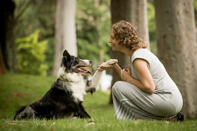 Dogs and Bonds – Professional Dog Trainer