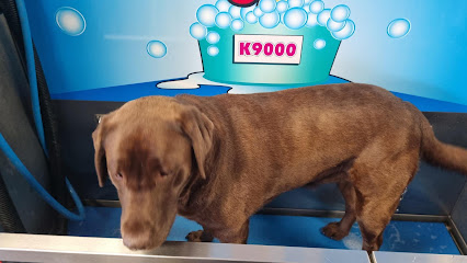 My Pet DIY Dog Wash