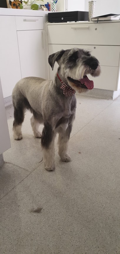 Dande-Dog Grooming
