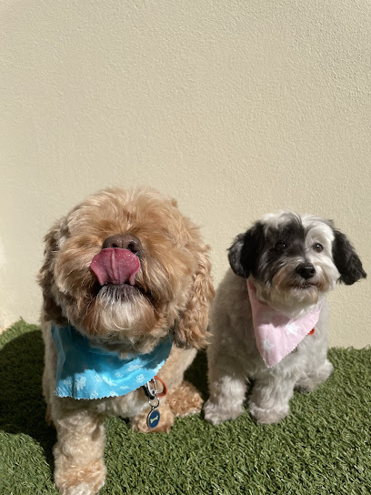 Pampered with Love Pet Grooming and Spa