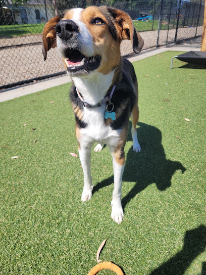 Bayside Pet Centre
