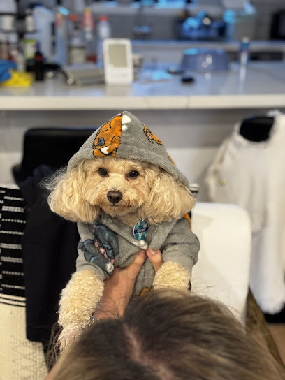 Furry Clippers Pet Grooming