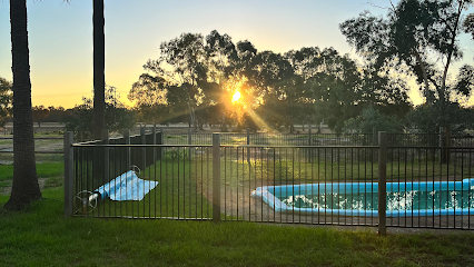 Doggy Days & Farm Stays