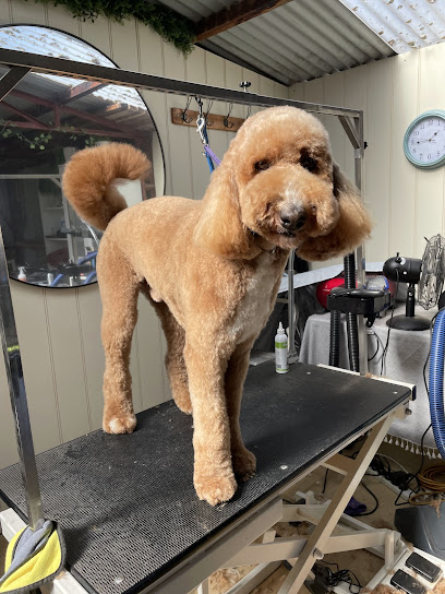 Martine Sarah Dog Grooming