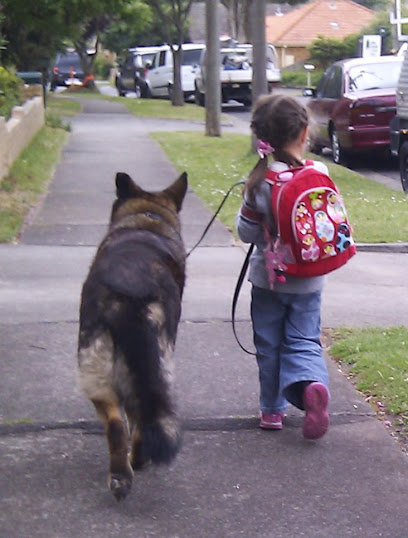 Eastern Companion Dog Training Boarding School