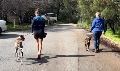 Tricky Dog Training