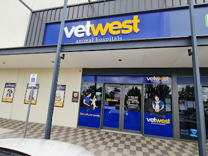 Petstock Ellenbrook