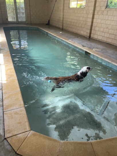 Fur Kidz Resort