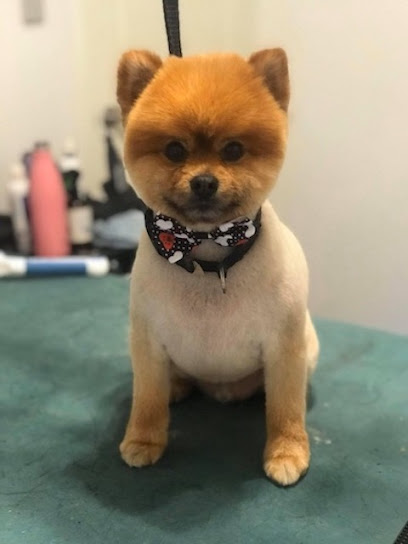 Paws2Clip