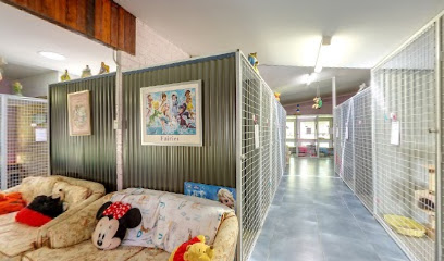 Happy Cats Cattery