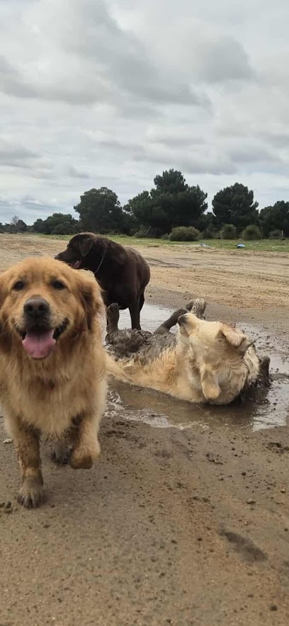 Storm & Friends – Pet Care