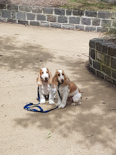 Bayside Companion Dog Training School