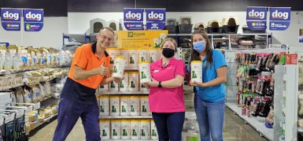 Petstock Hollywood