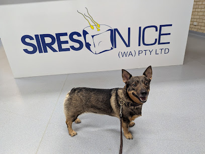 Sires on Ice (WA)