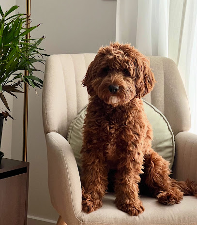 The Woof & Wag Inn