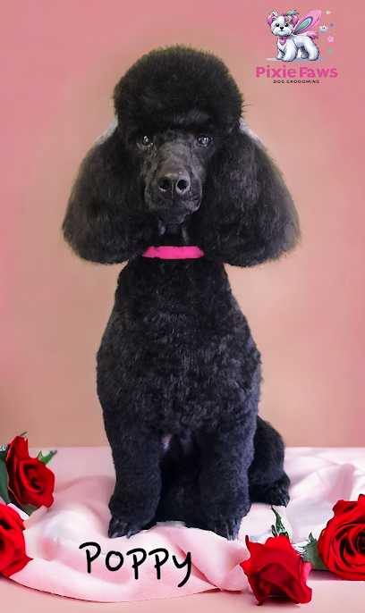 Pixie Paws Dog Grooming