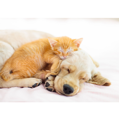 VanPetz Animal Consulting