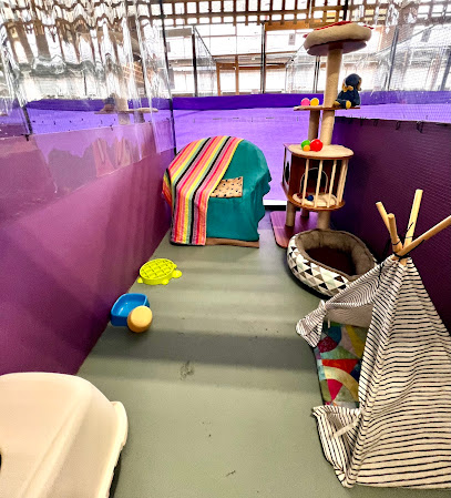 Corporate Cats Cattery