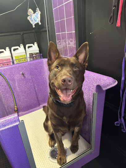 Kaitlyn’s Canine Clipper and Clean