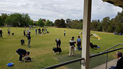 Glen Iris Dog Training Club Inc.