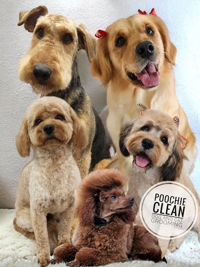 Poochie Clean