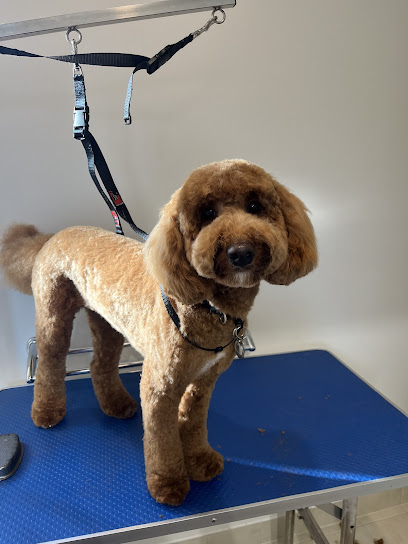 Glamorous Grooms Mobile Dog Grooming