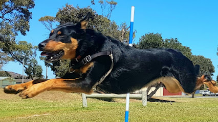 School For Dogs Aldinga Bay