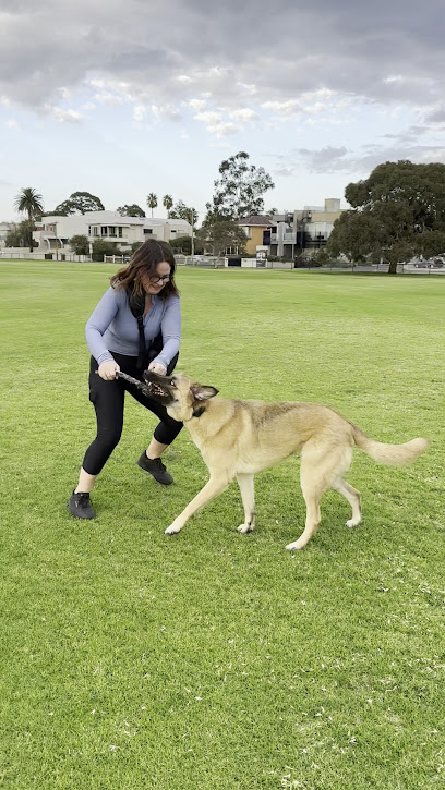 Paws with Purpose Dog Training