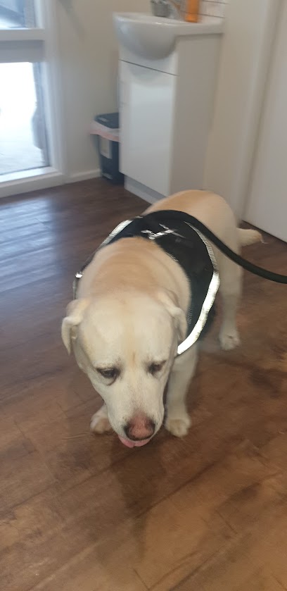 Langwarrin Veterinary Clinic